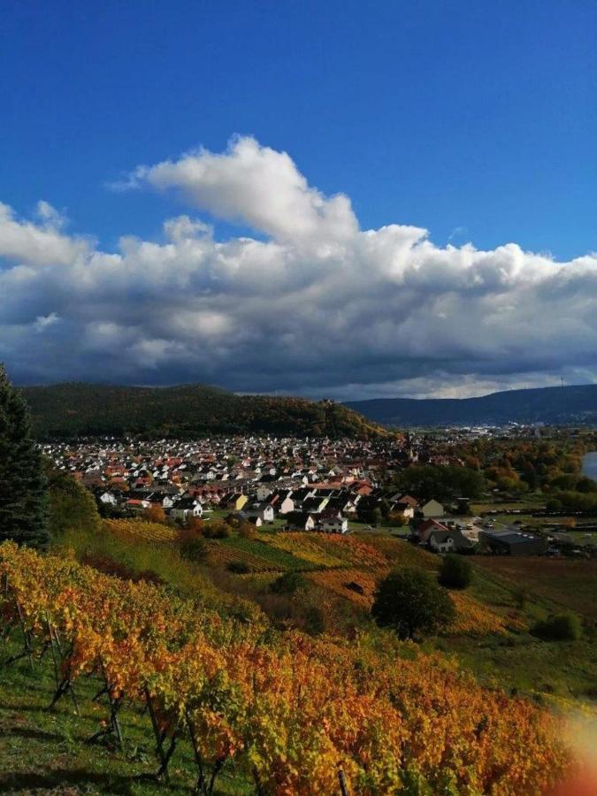 Ferienwohnung Familie Buchner Großheubach Екстериор снимка