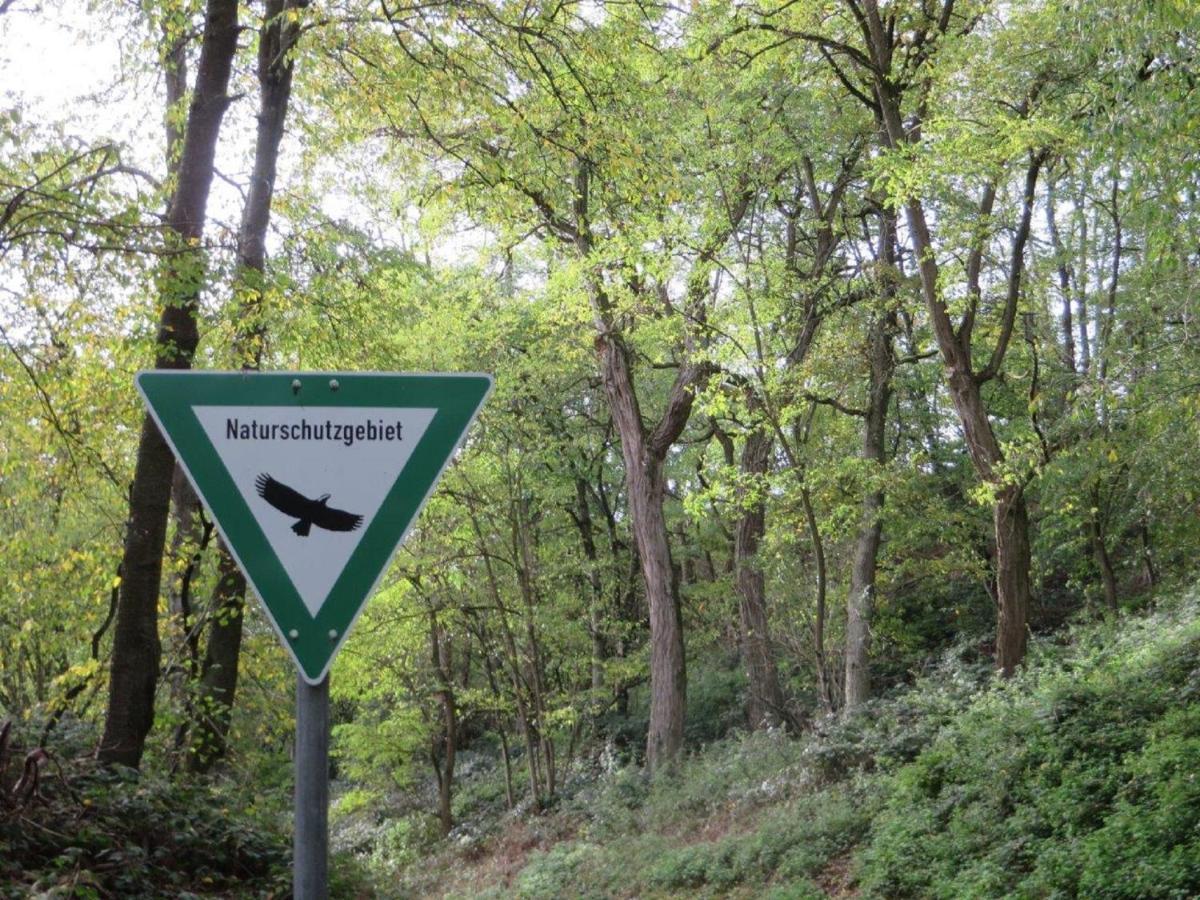 Ferienwohnung Familie Buchner Großheubach Екстериор снимка