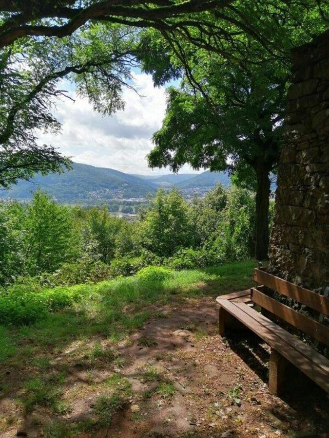 Ferienwohnung Familie Buchner Großheubach Екстериор снимка